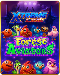 XTREME LINK FOREST AVIATORS