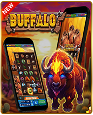 Promotional banner for Buffalo online slot game featuring a glowing bison, mobile gameplay screenshots with reels and bonus features, and a "New" badge on a dramatic sunset savanna background