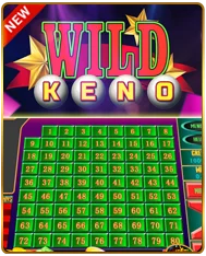 Wild Keno game — numbered grid board with bold Wild Keno title and star burst on dark background